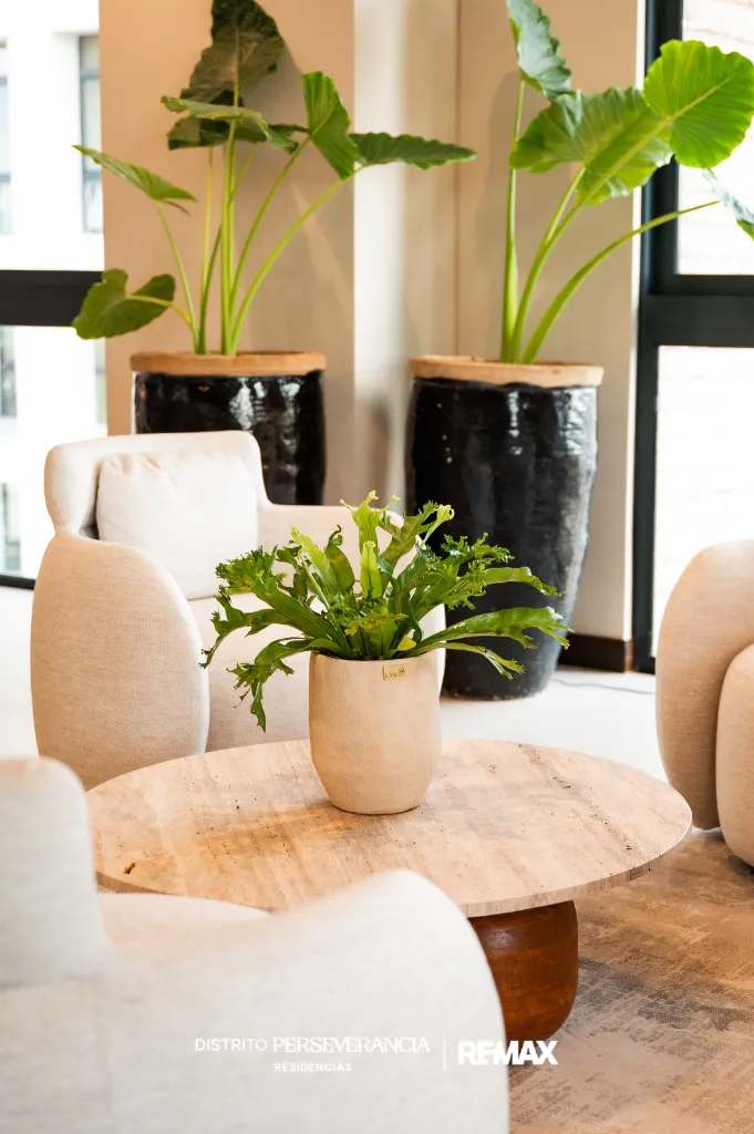 PHOTO-2026-02-28-22-54-20 2.webp