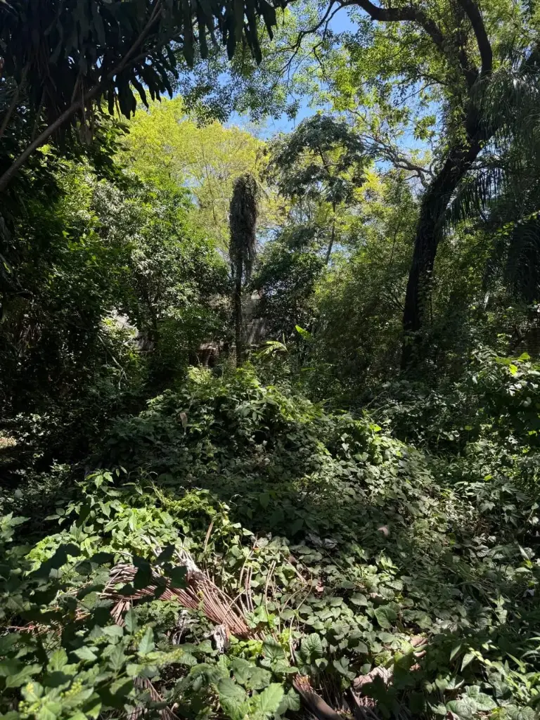 vendo terreno en LAS LOMAS