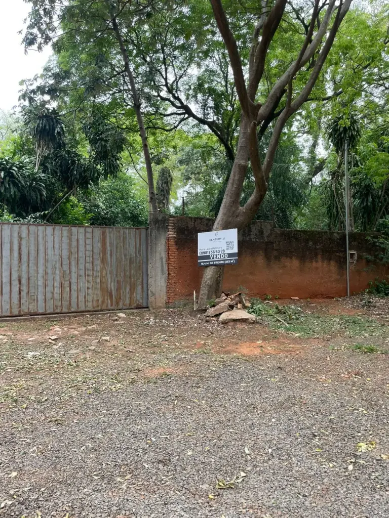 Vendo enorme Terreno en Las Lomas