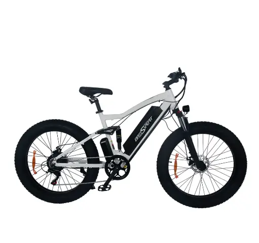 Bicicleta Eléctrica Bluhan Ones1